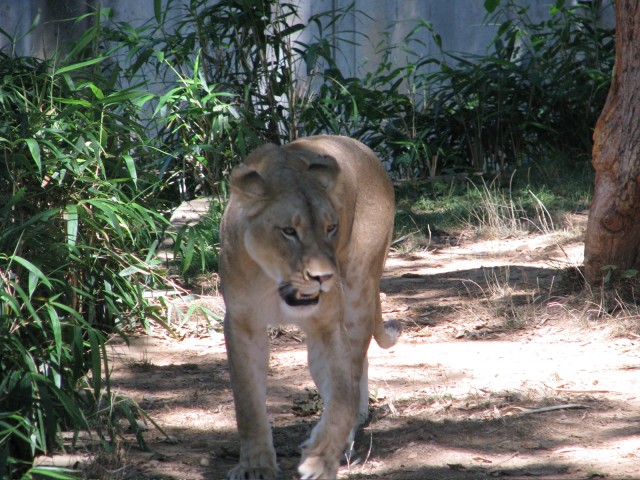 IMG_1395.jpg