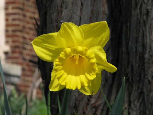 IMG_6014.jpg
