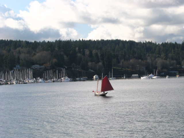 IMG_8086.jpg