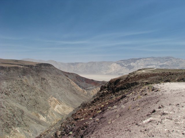IMG_9038.jpg