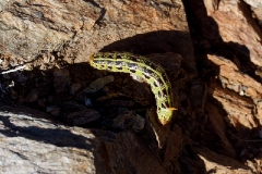 blair valley campground