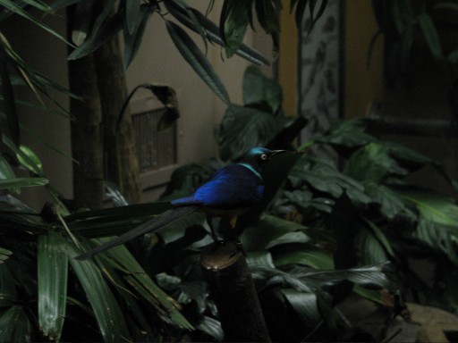 IMG_1121.jpg