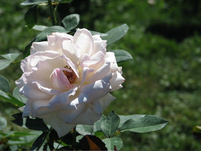 IMG_2007.jpg