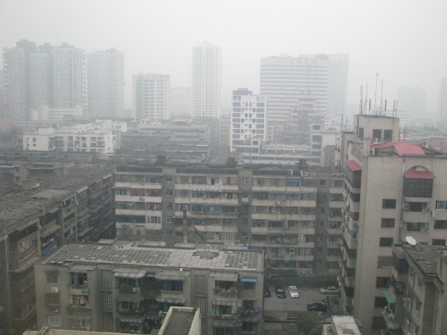 IMG_2937.jpg