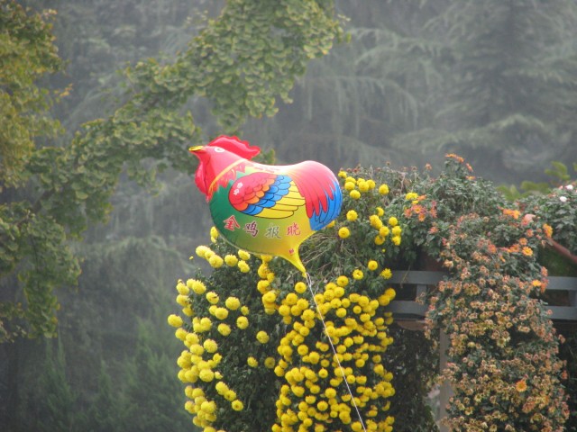 IMG_2995.jpg