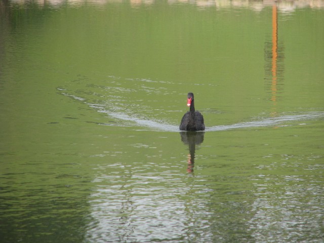 IMG_3575.jpg