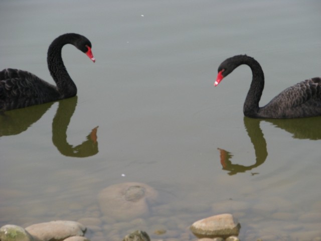 IMG_3584.jpg