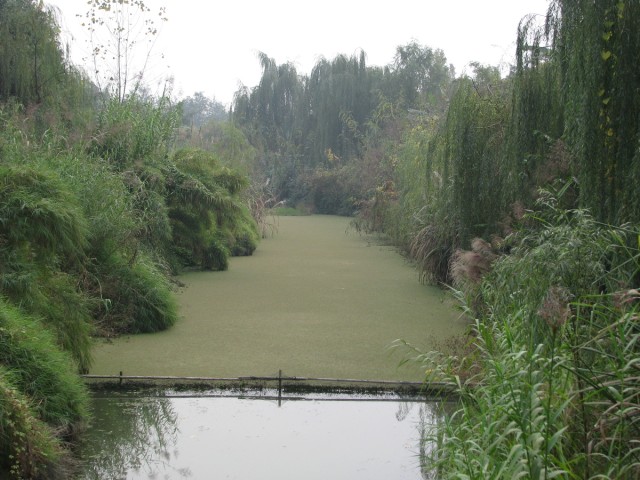 IMG_3587.jpg