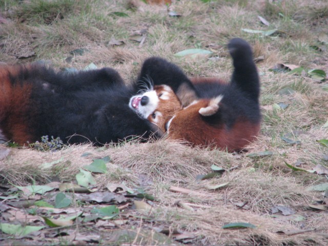 IMG_3448.jpg