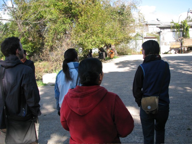 IMG_3731.jpg