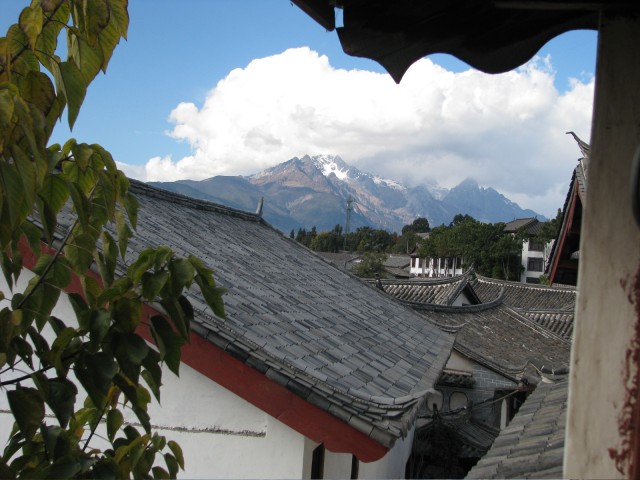 IMG_3786.jpg