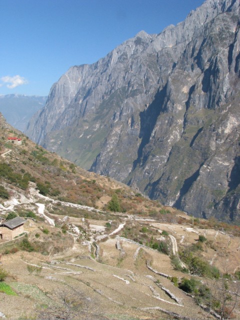IMG_3876.jpg