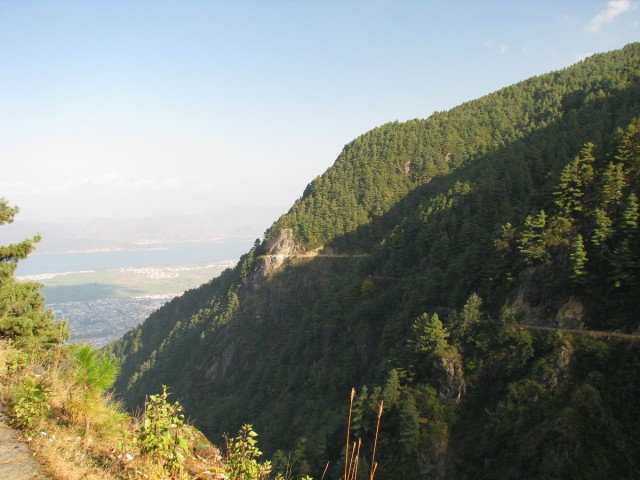 IMG_4041.jpg