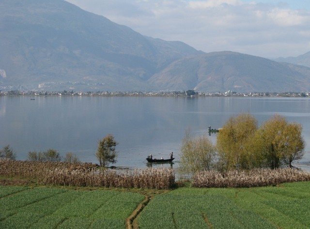 IMG_4182.jpg