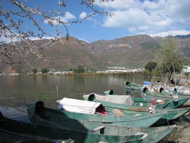 IMG_4186.jpg
