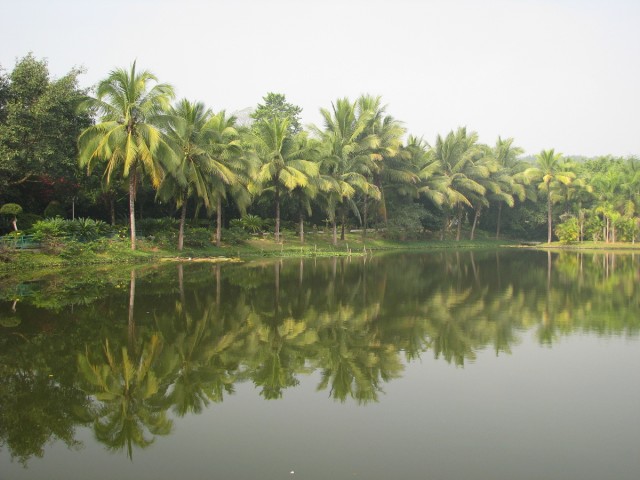 IMG_4280.jpg