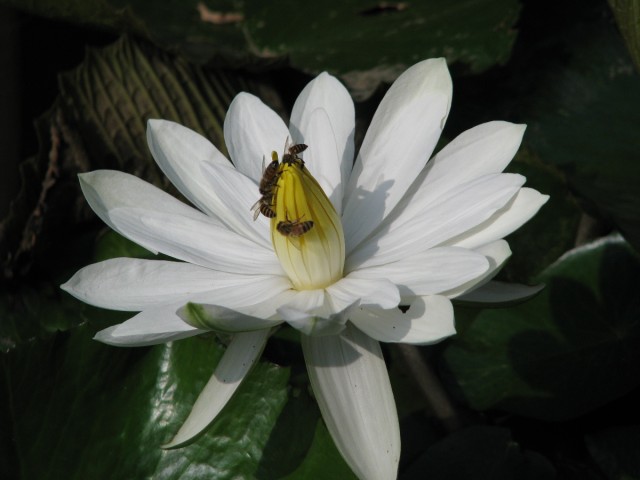 IMG_4292.jpg