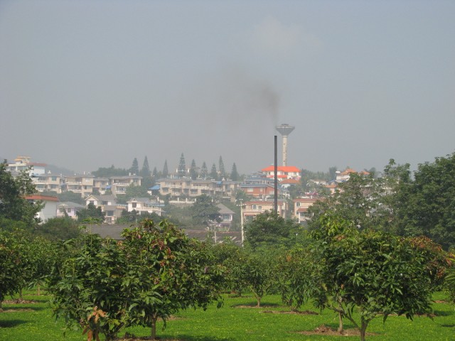 IMG_4303.jpg