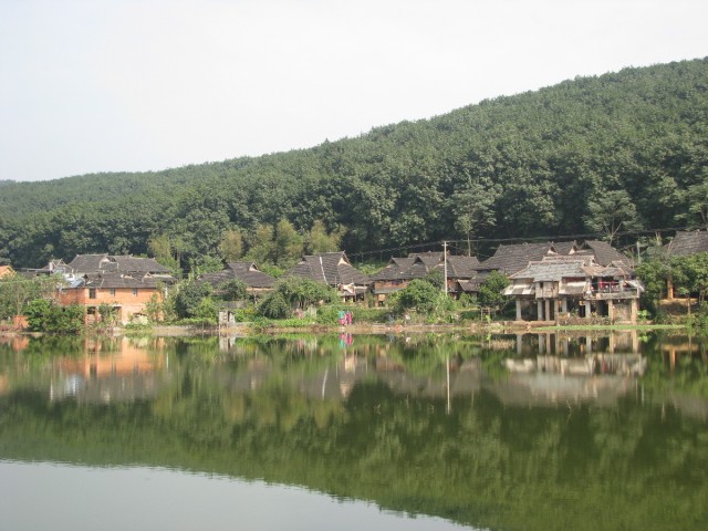 IMG_4383.jpg
