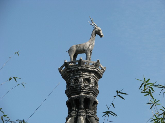 IMG_4500.jpg