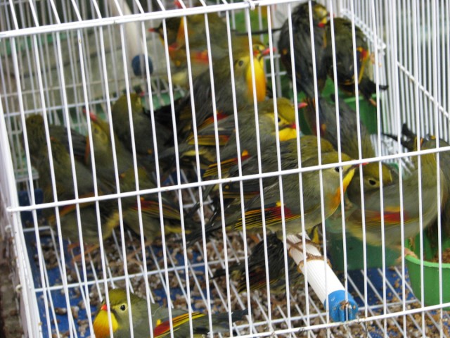IMG_4536.jpg