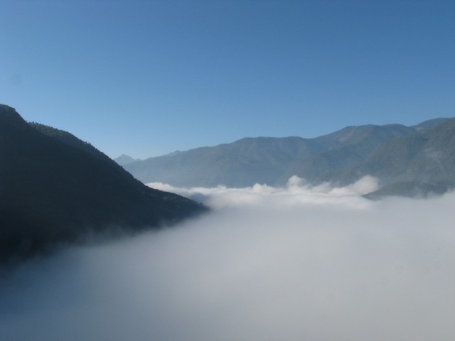 IMG_3822.jpg