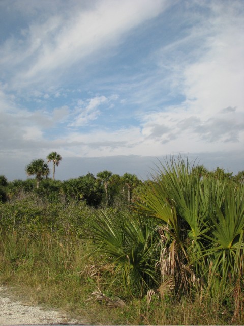 IMG_5066.jpg