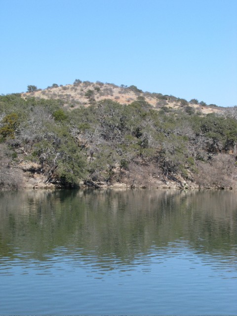 IMG_5268.jpg