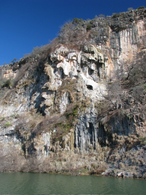 IMG_5278.jpg