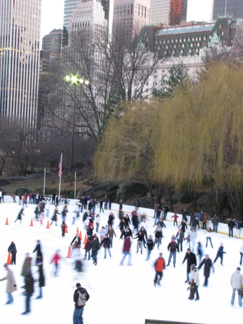 IMG_5379.jpg