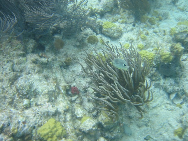 IMG_0553.jpg