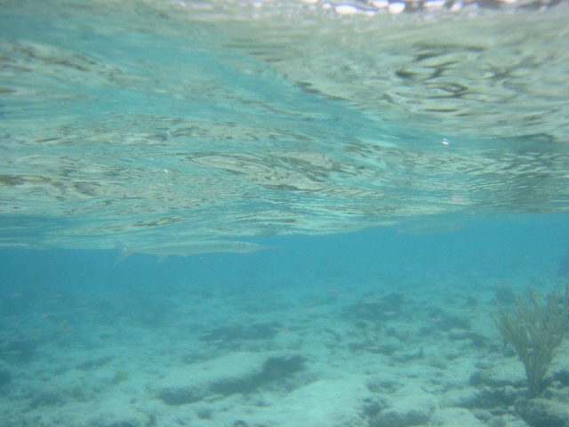 IMG_0562.jpg