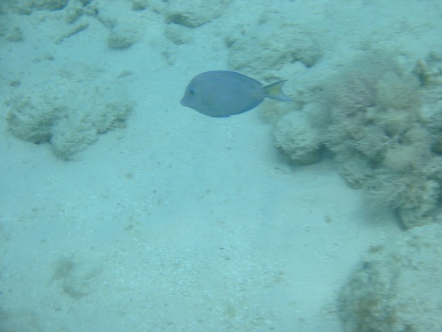 IMG_0572.jpg