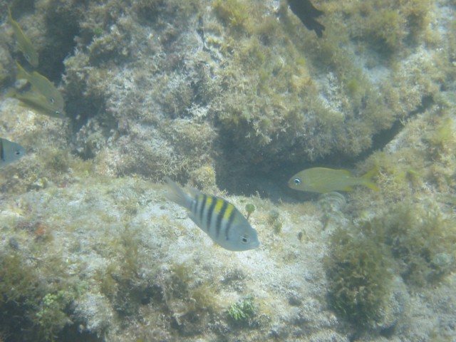 IMG_0684.jpg