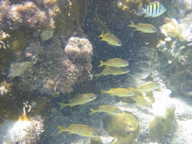 IMG_0727.jpg