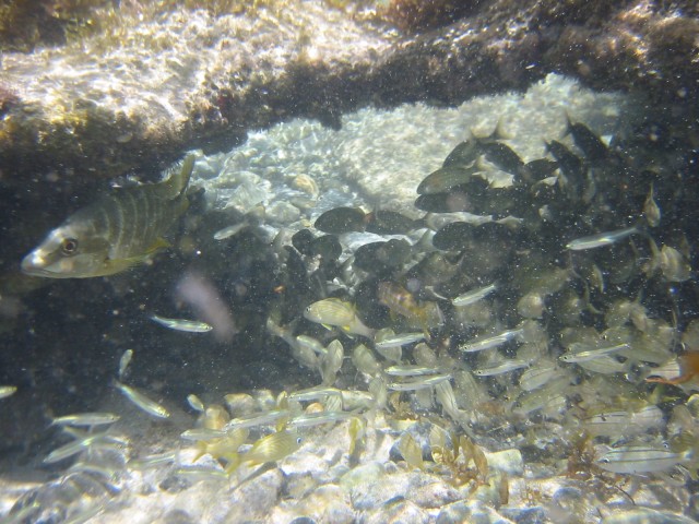 IMG_0750.jpg