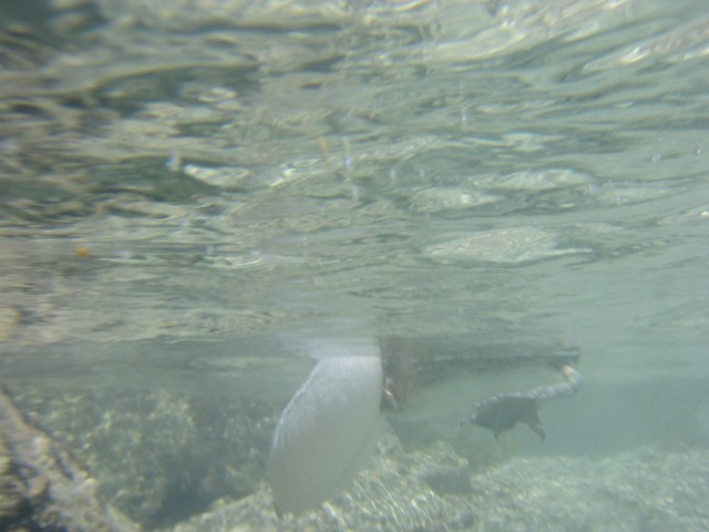IMG_0808.jpg