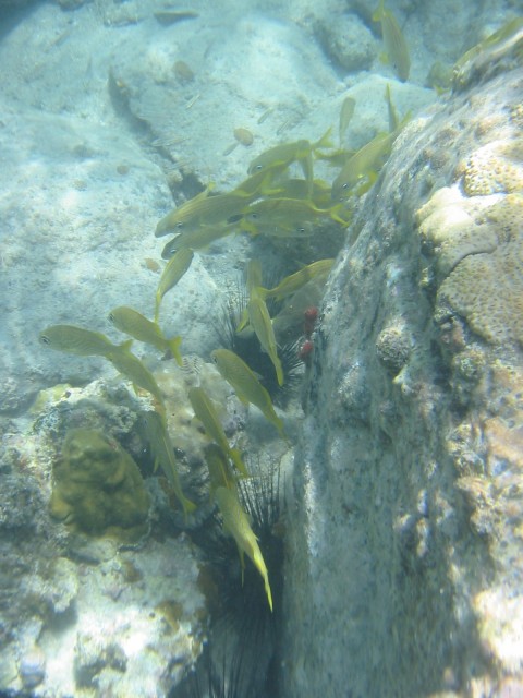 IMG_0844.jpg