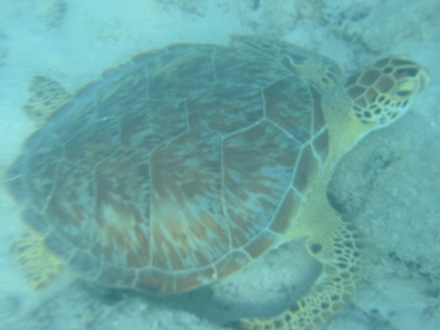 IMG_0888.jpg
