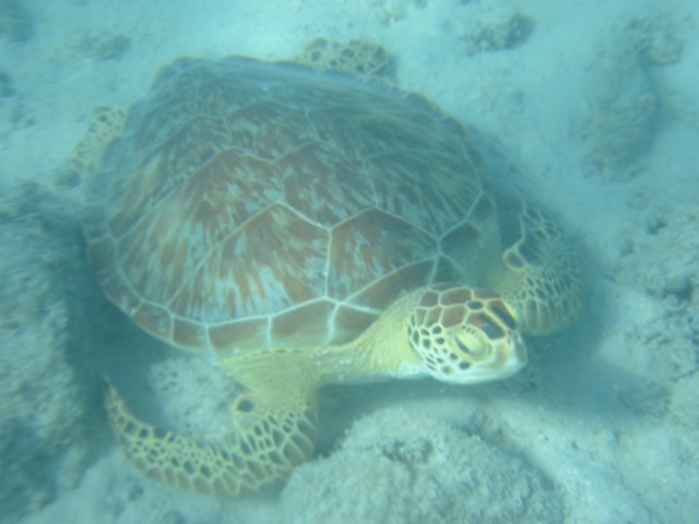 IMG_0889.jpg