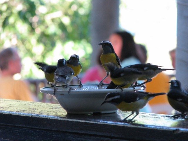 IMG_5559.jpg