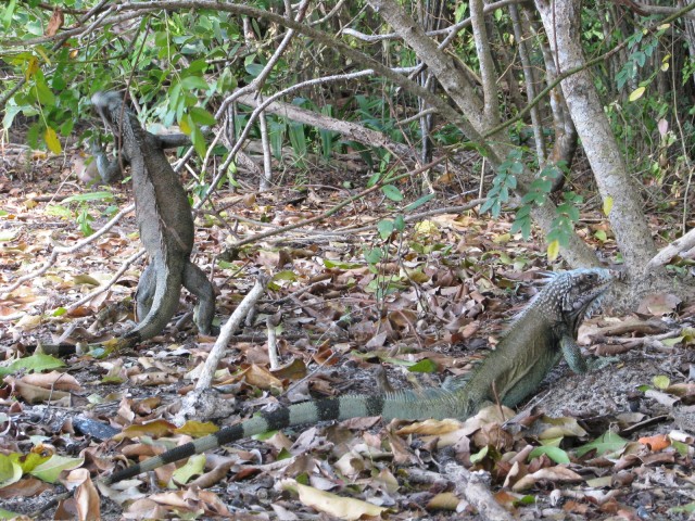 IMG_5727.jpg