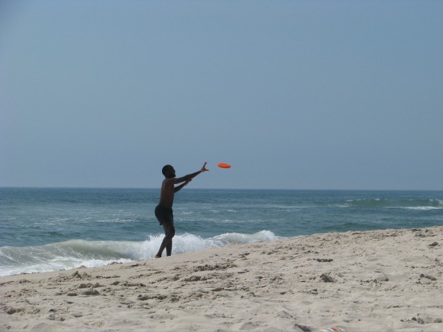 IMG_7329.jpg