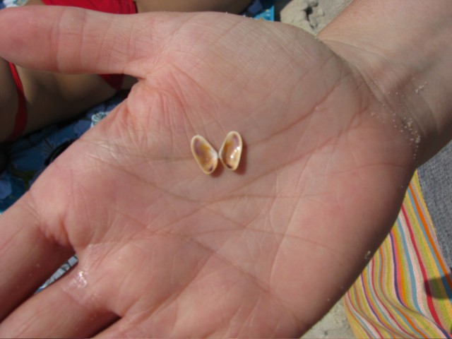 IMG_7339.jpg