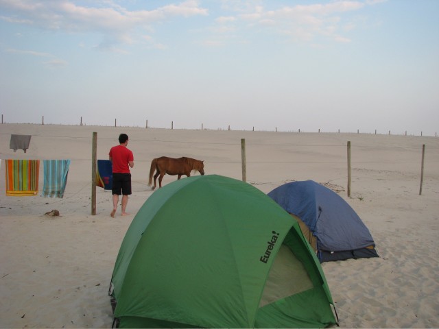 IMG_7350.jpg