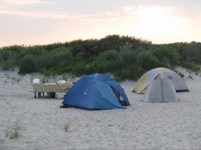 IMG_7356.jpg