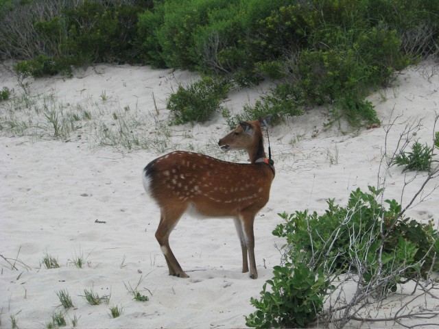 IMG_7419.jpg