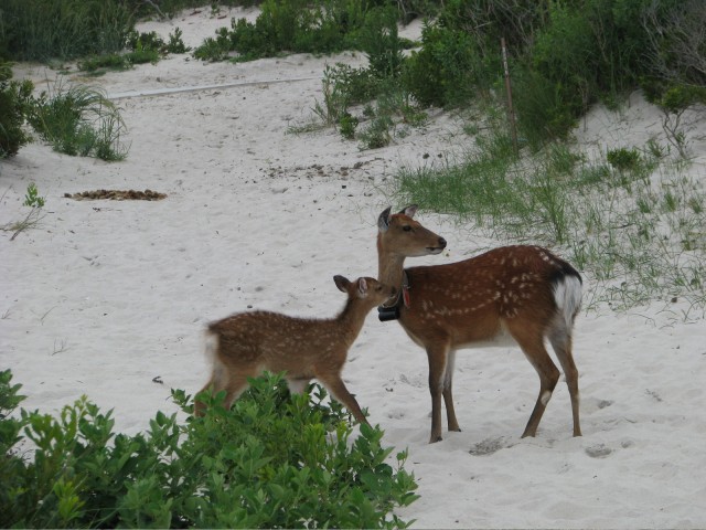 IMG_7434.jpg