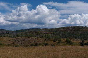 IMGP2573